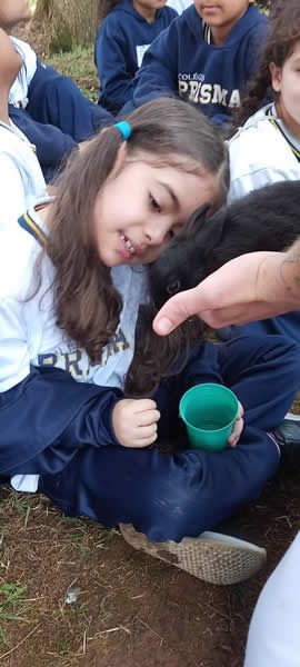 Bicho Mania 2022